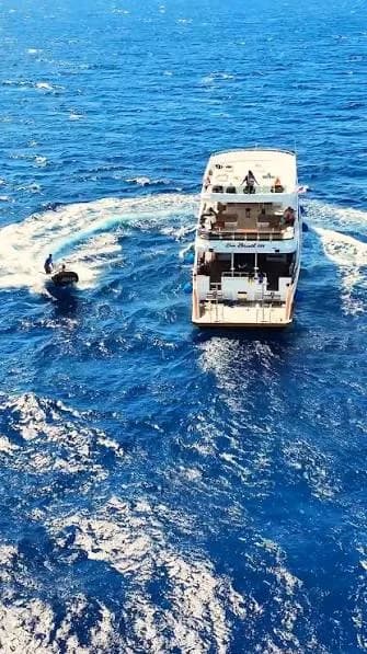 Aerial view of the dolphin-watching boat with a support tender alongside, at sea