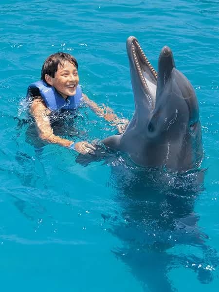 Child in a life jacket swimming face to face with a dolphin in the pool