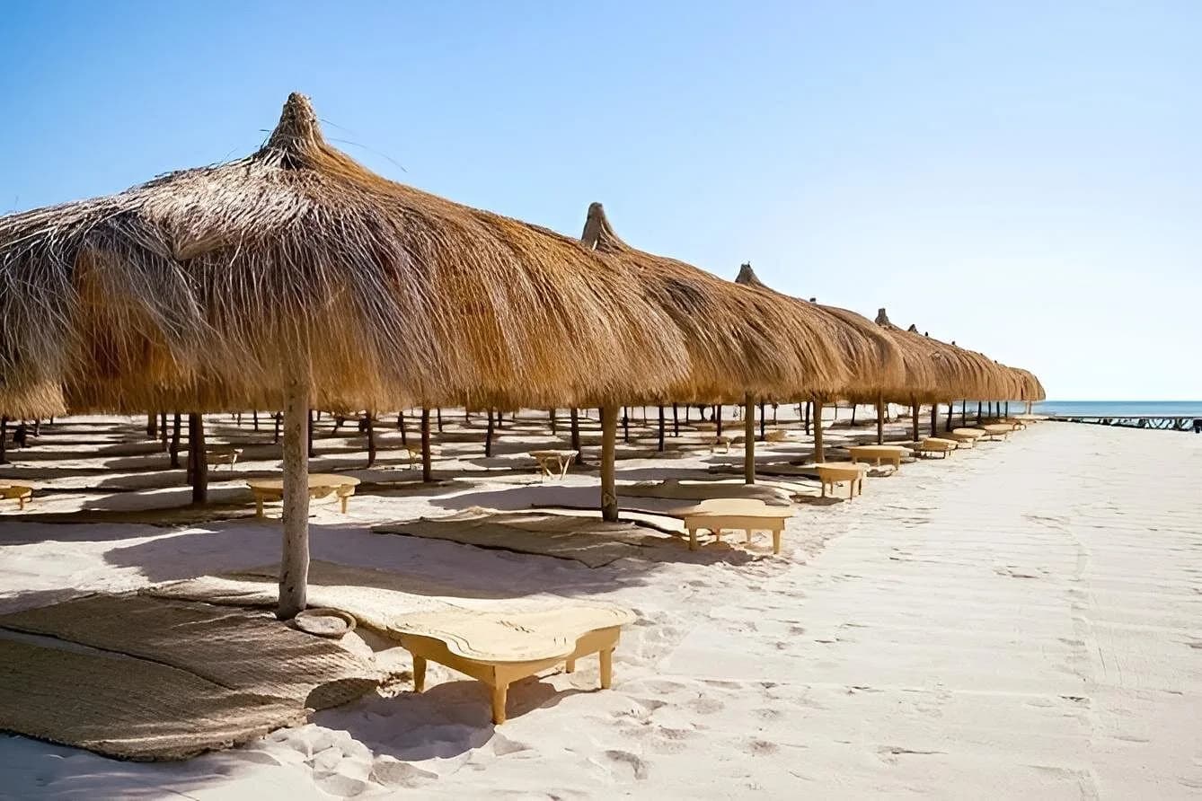 Row of thatched sunshade umbrellas along the beach