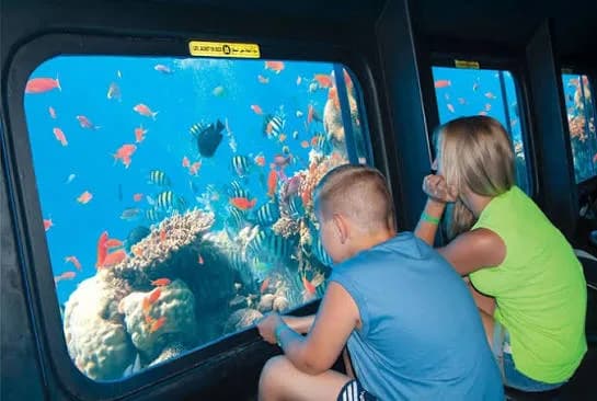 Children viewing colourful reef fish through the observation window