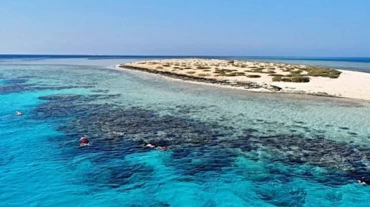 Aerial view of snorkelers swimming over a coral reef beside a sandy island