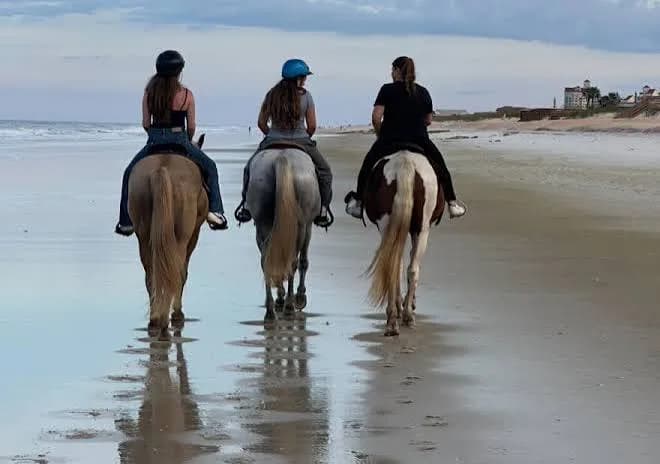 Riders on horseback walking along the beach at dusk, seen from behind