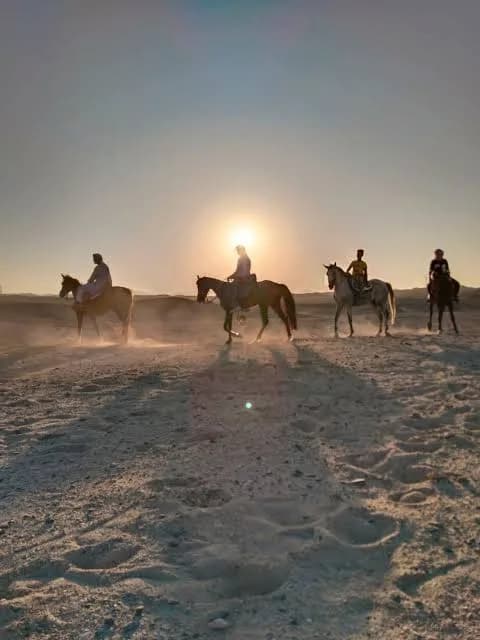 Riders on horseback in the desert silhouetted against the sunset