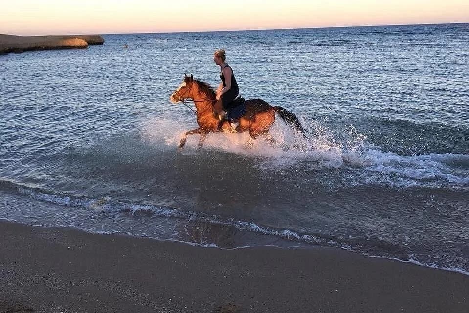 Horse rider in the Red Sea at sunset