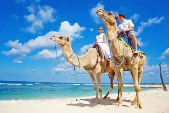 Two guests riding camels through shallow water along a Marsa Alam Red Sea beach