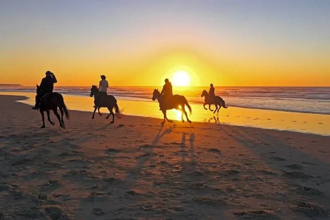 Silhouettes of horse riders galloping along the beach at sunset
